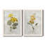 Canari lin géranium - ensemble de 2 reproductions d'art-755692027-755691911-755692019