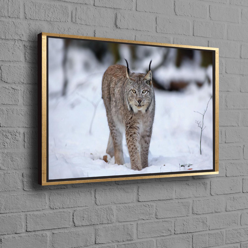 Print on Canvas, Gold Floater Framed, 40 cm H x 60 cm W