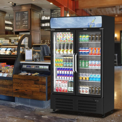 Réfrigérateur commercial de 26 pieds cubes, réfrigérateur à 2 portes vitrées avec éclairage DEL pour restaurants, épiceries