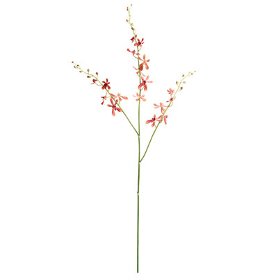 40-Inch Orchid Stem