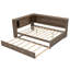 Lit de jour avec tablettes de rangement, USB, DEL et lit gigogne-106763954