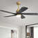 Damecia 52'' Ceiling Fan with LED Lights
