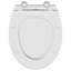 Anthracite Plastic Standard Adjustable Armrests Toilet Seat-1215608315