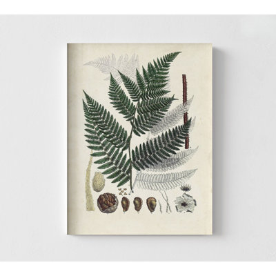 Fern Leaves Print, Botanical Wall Decor, Leaves Wall Art, Framed Botanical Print, Fern Wall Art Prints, Framed Wall Art, Oversized Wall Art