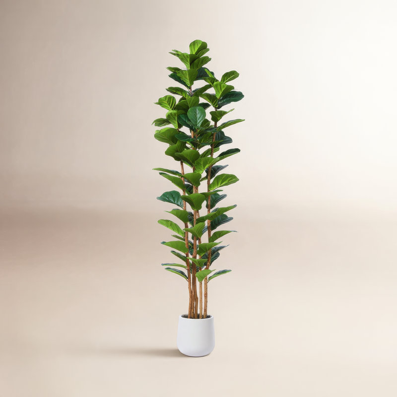 Figuier artificiel Adarna 84 po avec feuilles réalistes et tronc naturel, arbre en pot, H 84 po x l 28 po x P 28 po