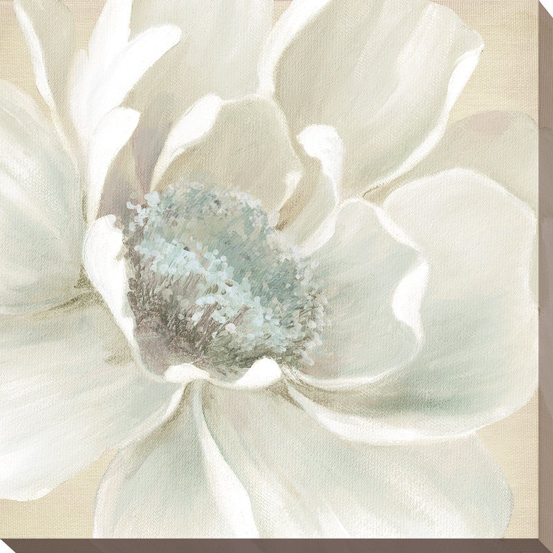 Reproduction d’art sur toile tendue winter blooms i, H 36 po x l 36 po