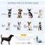 Collapsible Pet Carrier with 1 Door
