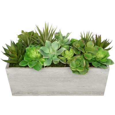 Plante grasse artificielle en pot