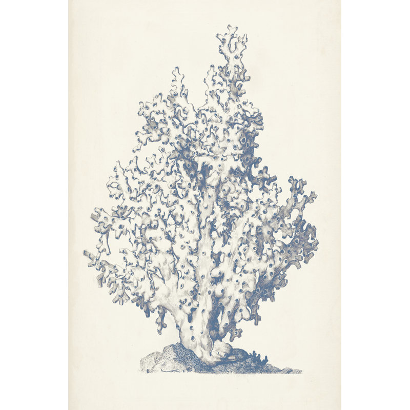Antique Coral Collection IV - Wrapped Canvas Painting, 46cm H x 30cm W, Wrapped Canvas