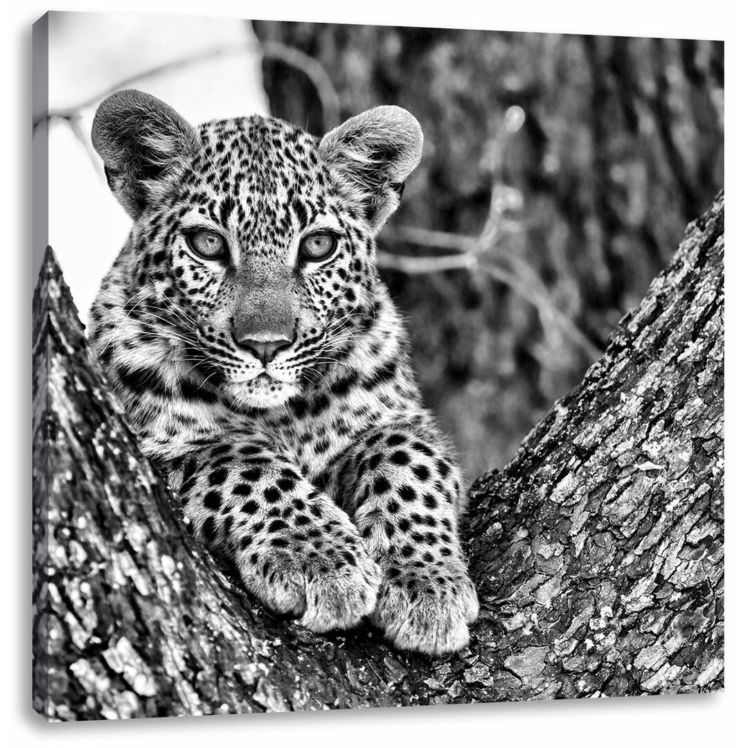 Leinwandbild Leopard Baby