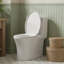 Toilette allongée à double chasse avec douchette brute de 12 po, 1,1 / 1,6 GPF économisant l'eau, 1000g CARTE, en céramique blanche élégante
