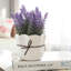 19.1cm Faux Plant in Ceramic Pot