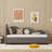 Twin Size Velvet Upholstered Daybed with Trundle