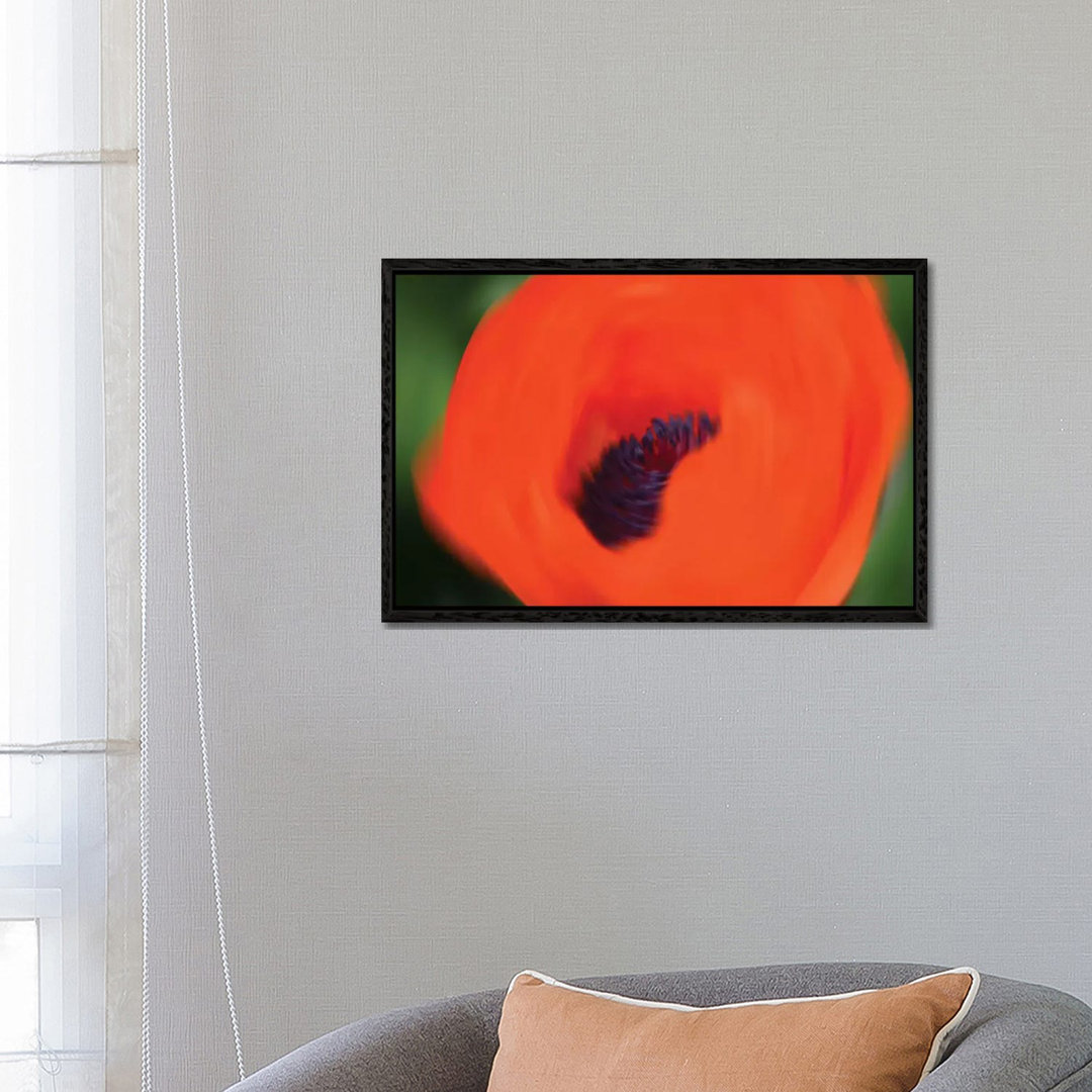 Orange Poppy von Savanah Plank - Galerie-verpackte Leinwand Giclée auf Leinwand