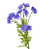 Purple/Blue is out of stock selected