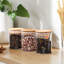 Breit Glass Jar - Set of 12