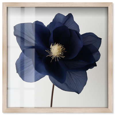 «Night Dal III Shadowbox», impression d'art floral bleu par Art Remedy