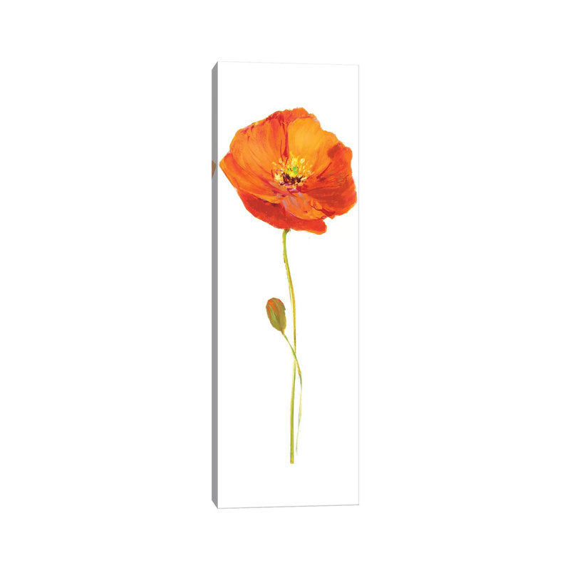 Poppy Pop II by Nan - Wrapped Canvas Panoramic Print, 30.48 cm H x 91.44 cm W