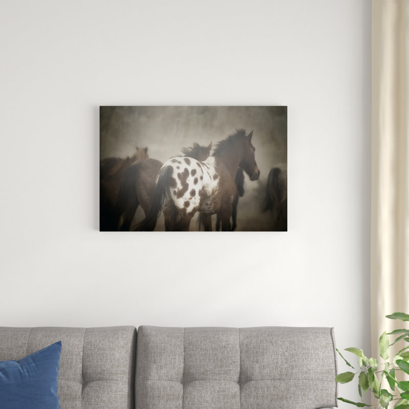 Appaloosa, H 20 po x l 30 po x P 1,25 po