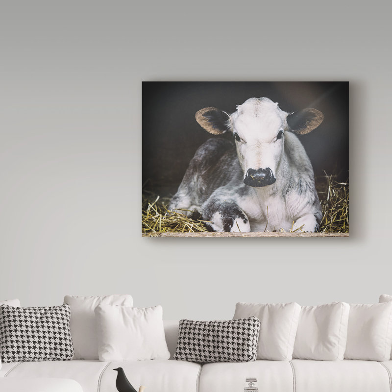 " Busy Day " by Aledanda, 14" H x 19" W x 2" D