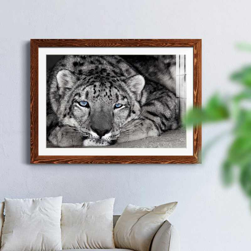 " Snow Leopard Sanctuary ", Maple Framed Paper, 31.5" H x 23.5" W x 1.5" D