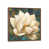 Classic Brown Framed Canvas