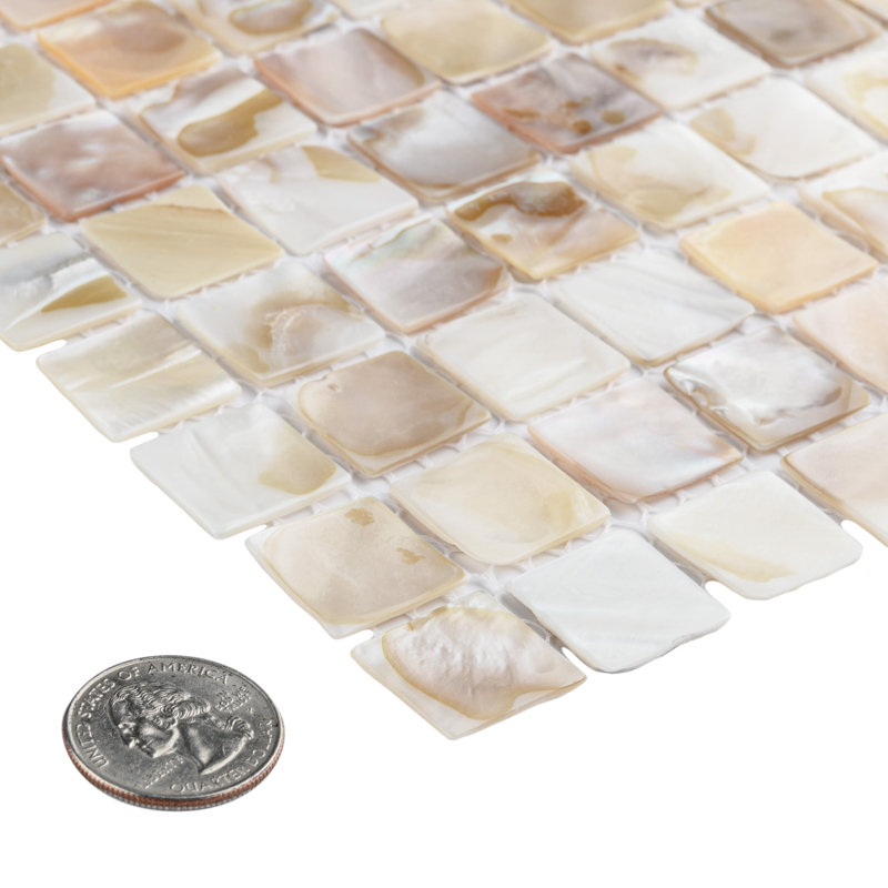 Conchella Square Natural 12" x 12" Natural Shell Mosaic Tile