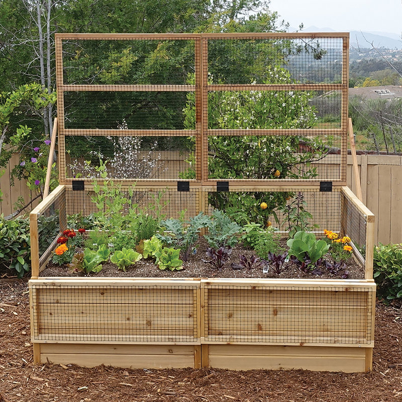 Jardin en cèdre avec treillis / couvercle de l 6 pi x P 3 pi