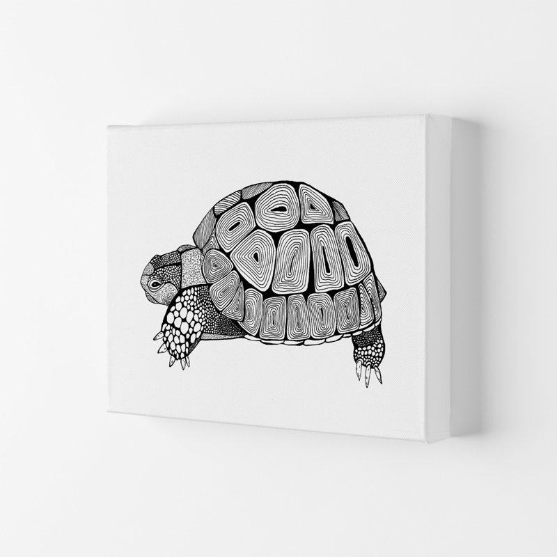 Tortoise by Carissa Tanton - Wrapped Canvas Print, 21cm H x 29.7cm W x 4cm D