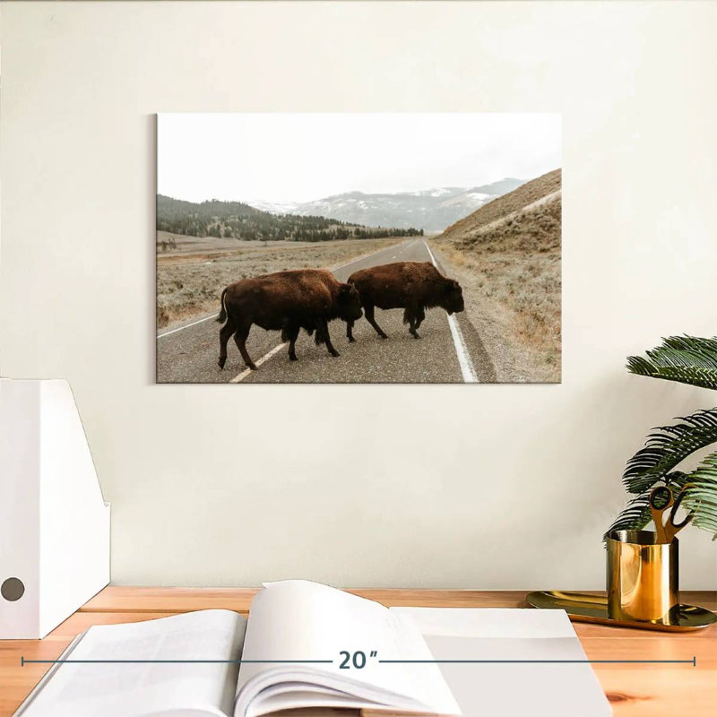 Brampt Bison In Lamar Valley, 8" H x 12" W