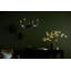 Lustre 4 lumières 20,25 po-23892149