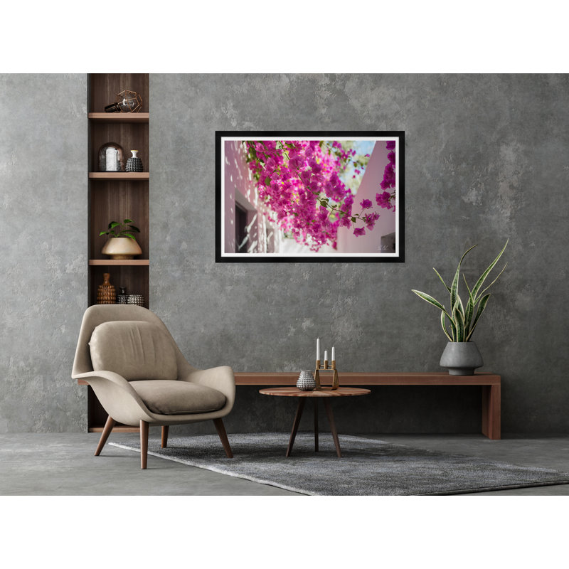 Bougainvillea Sky by Tim Klein