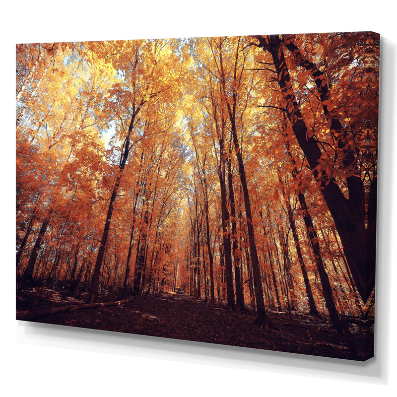 Mystic Yellow Fall Forest III - Art mural sur toile traditionnel, L 12 po x H 8 po, Toile tendue