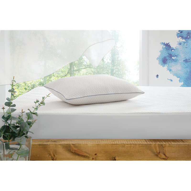 Coussin Dillsboro, Standard