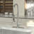 Logmey Pull Down Kitchen Faucet