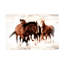 «The Finish Line» bolognaise sur toile-98248784