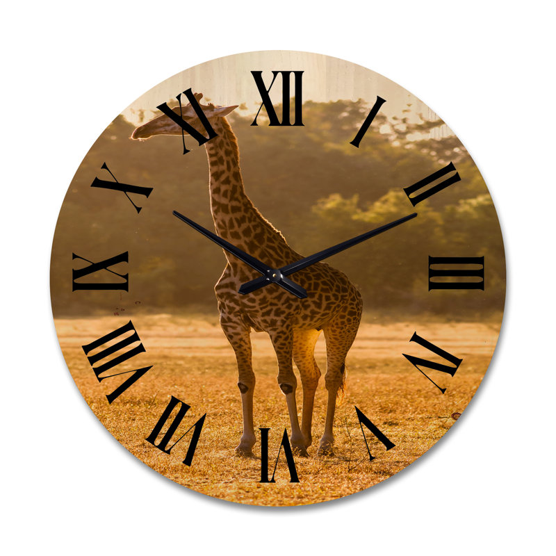 Horloge murale africaine, Très grand