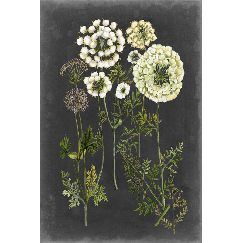 Bookplate Floral II by Naomi McCavitt - Painting on Canvas, Wrapped Canvas, 122cm H x 81cm W