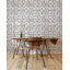 Panneau de papier peint Succulent-74722053-71797740