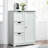 Rosalva Accent Cabinet-1499212415