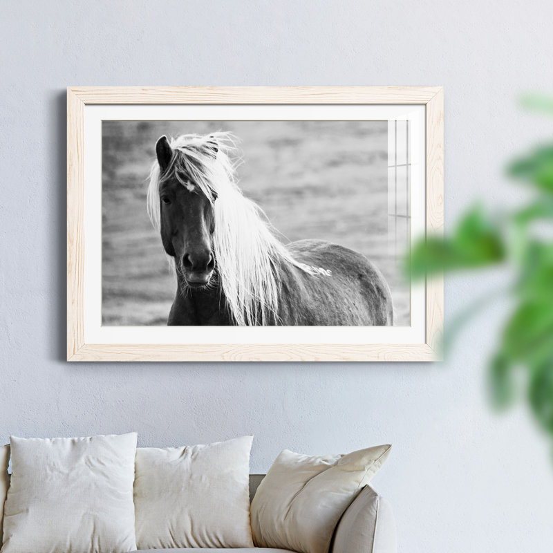 Islandic Horse - Photographie avec cadre photo, H 31,5 po x l 23,5 po x P 1,5 po, Cadre blanc