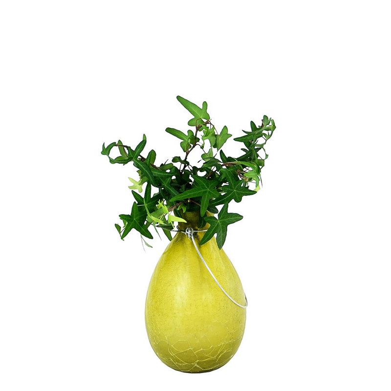 Sanora Glass Table Vase, Yellow, 7" H x 4.25" W x 4.25" D