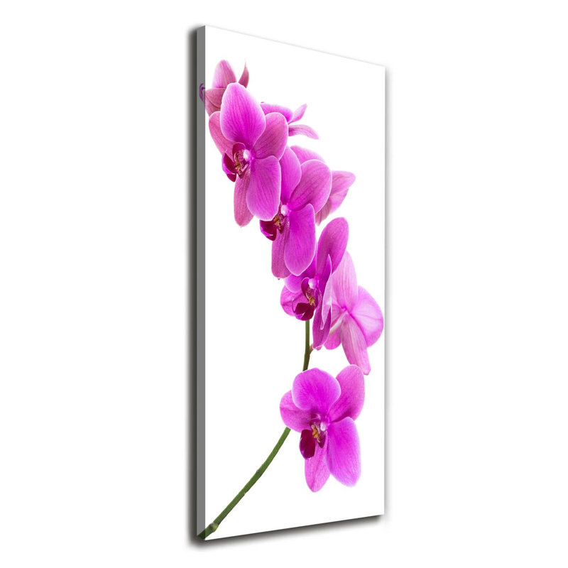 Pink Orchid - Wrapped Canvas Print
