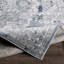Salome Oriental Area Rug-1681479449