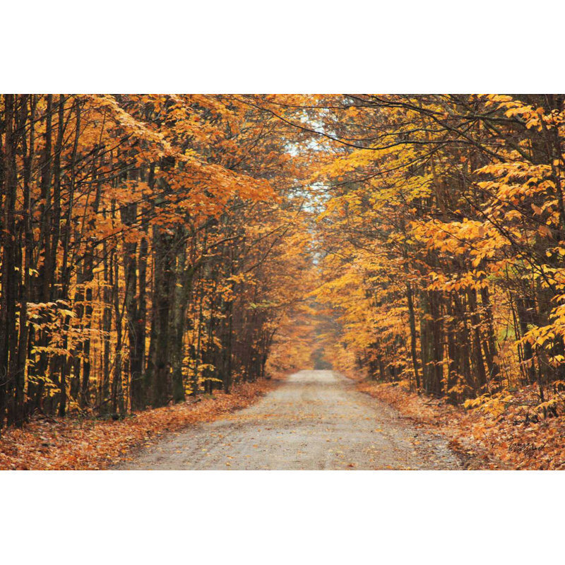 Route d'automne, H 8 po x l 12 po x P 1,25 po