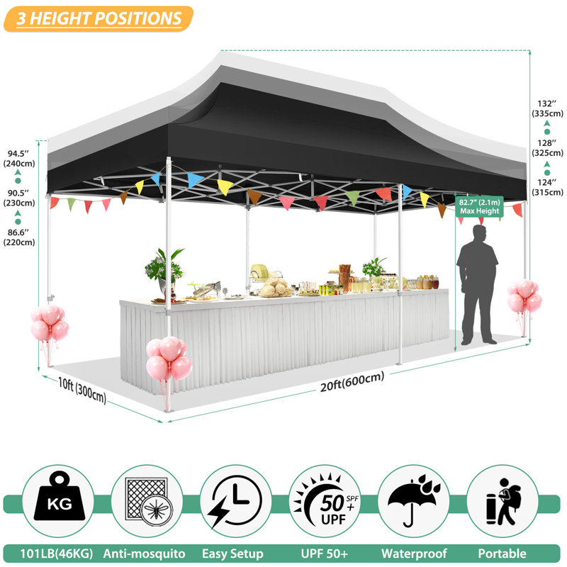 10'x20' Heavy Duty Canopy Tent, Pop up Gazebo with Netting Screened, Black