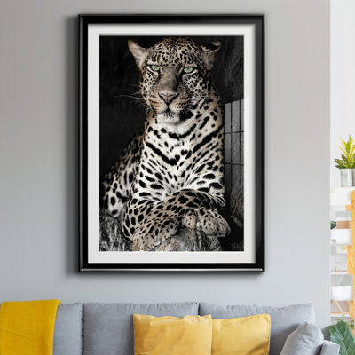 " African Leopard "
