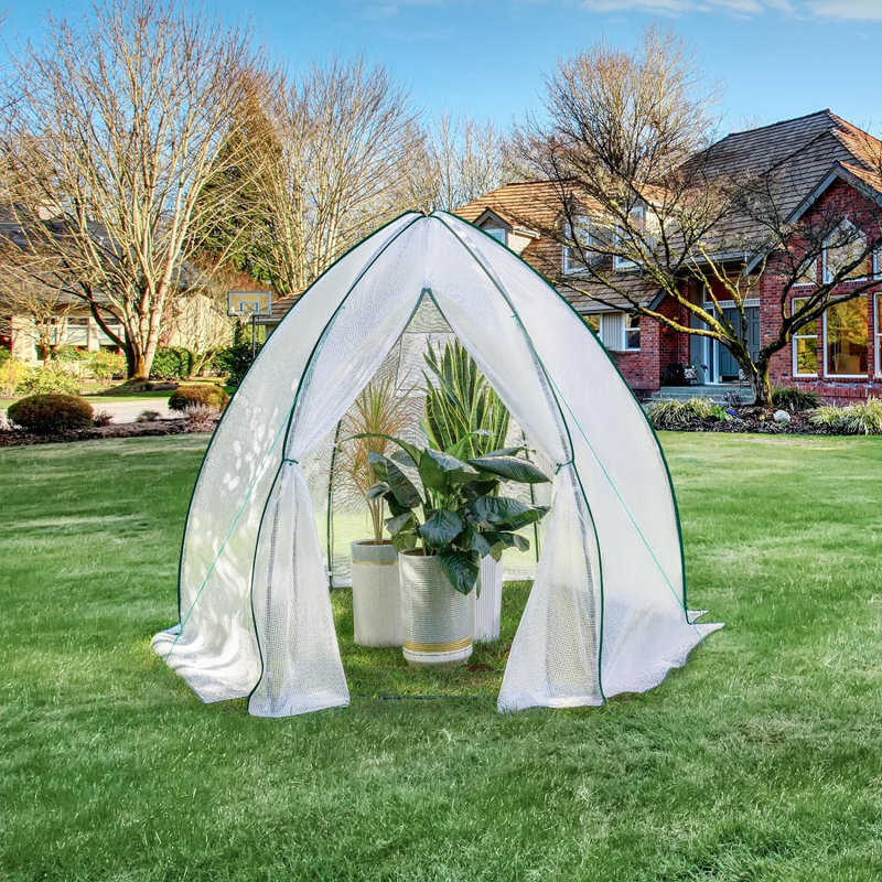 Ballal 8 Ft W x 6.5 Ft D Mini Greenhouse