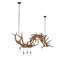 Dragelin 8 - Light Chandelier