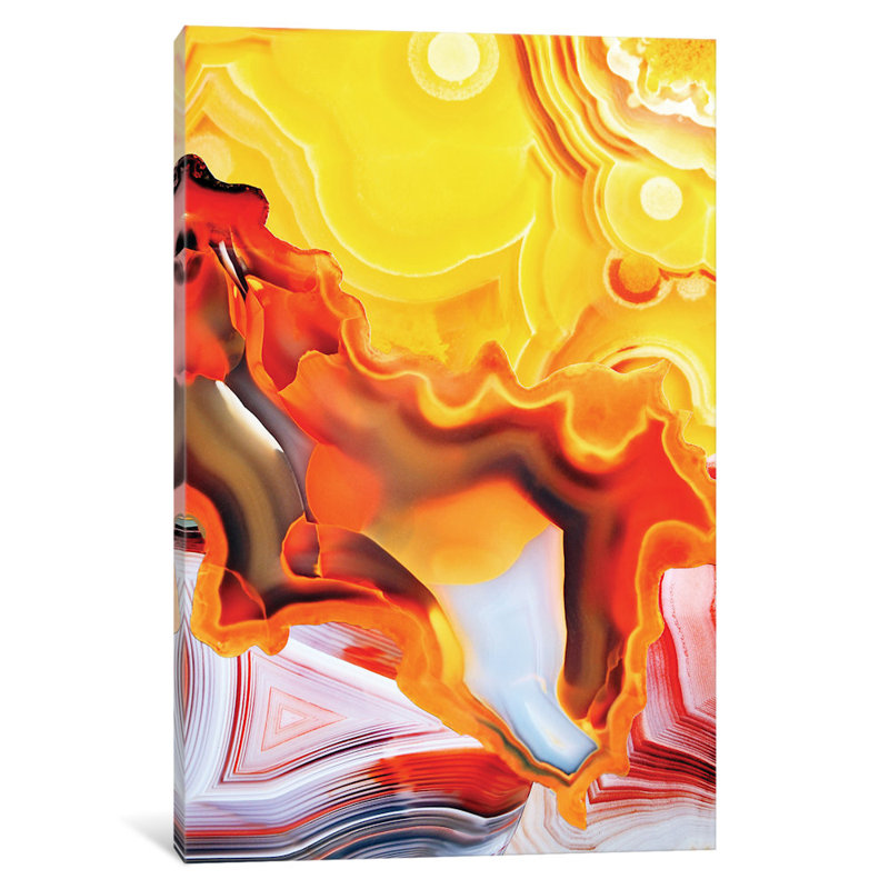 Impression sur toile tendue, fleurs de base earths, H 26 po x l 18 po x P 1,5 po, Toile avec cadre argenté